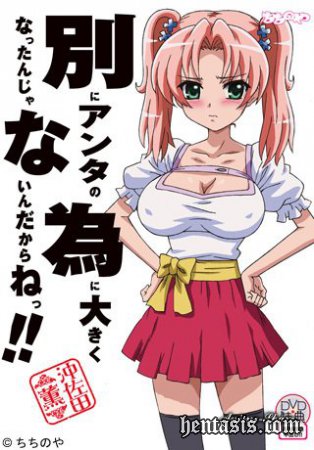 Только не думай, что что-то значишь для меня, понял!! / Мне нет никакого дела до твоей эрекции! / Betsu ni Anta no Tame ni Okiku nattan Janain Dakara ne!! (2011г.)