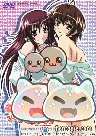 Учеба со старшими сестренками / Kateikyoushi no Onee-san The Animation: H no Hensachi Agechaimasu (2007г.)